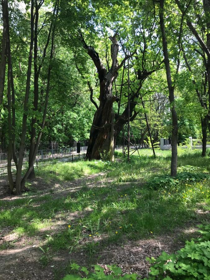 Warsaw-Aparts Ursynow Natolin Luaran gambar